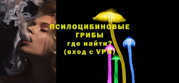 эйфоретик Чекалин