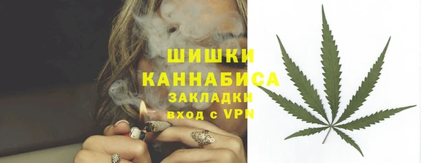эйфоретик Чекалин