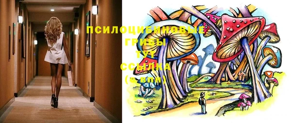 эйфоретик Чекалин