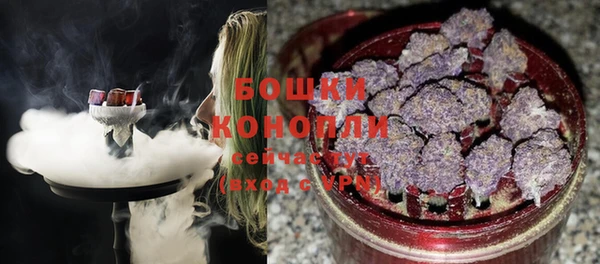 эйфоретик Чекалин