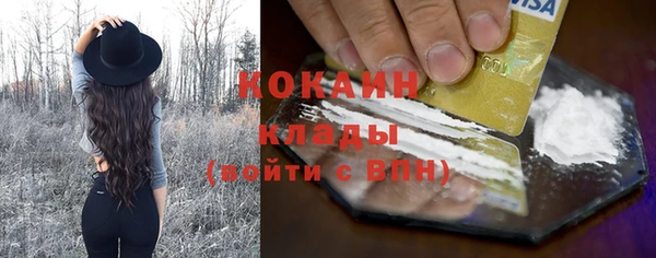 индика Хадыженск
