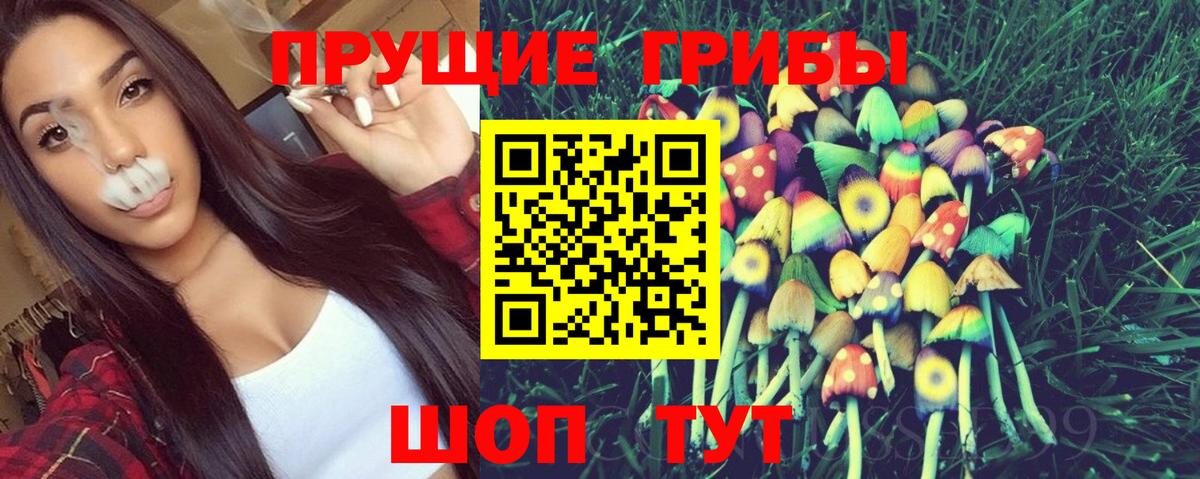 Хасавюрт  Псилоцибиновые грибы GOLDEN TEACHER  Вход с VPN 