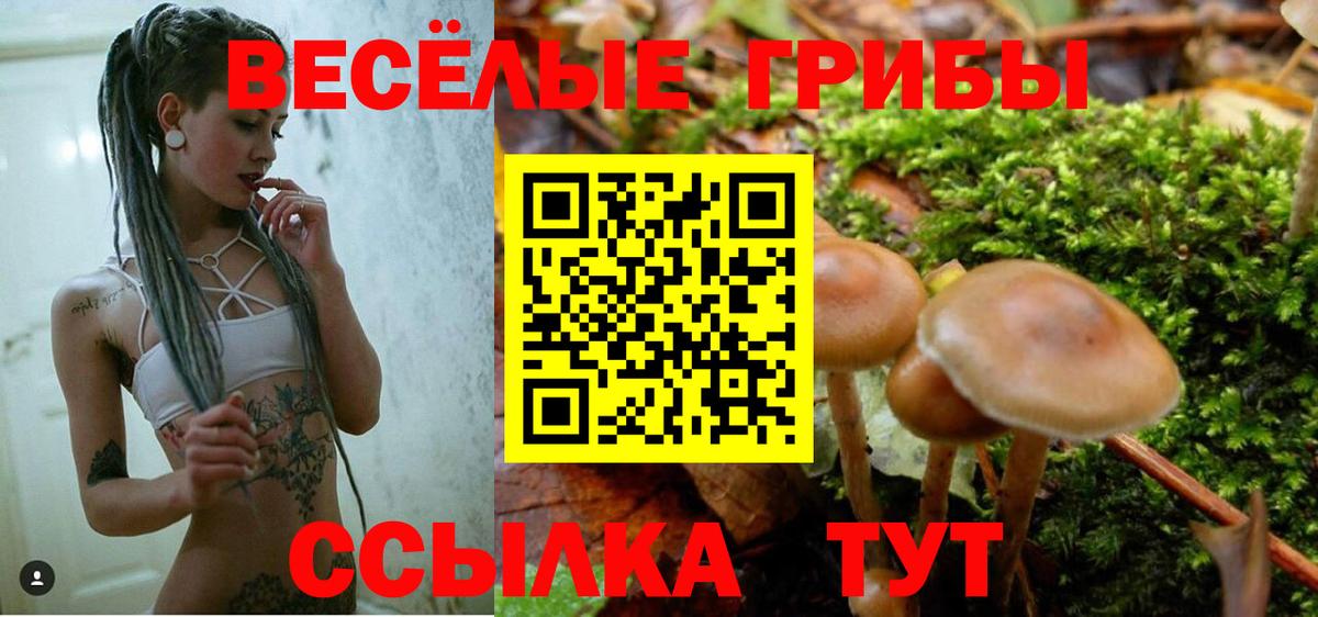 Галлюциногенные грибы Cubensis Хасавюрт