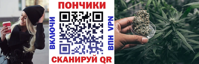 гидра   Хасавюрт  Каннабис индика 